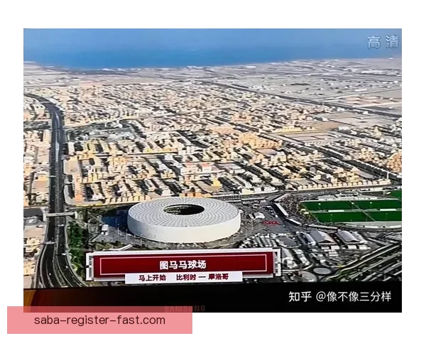 世界杯赔率全解析:热门球队胜率与冷门赛果深度对比分析 世界杯赔率全解析:热门球队胜率与冷门赛果深度对比分析